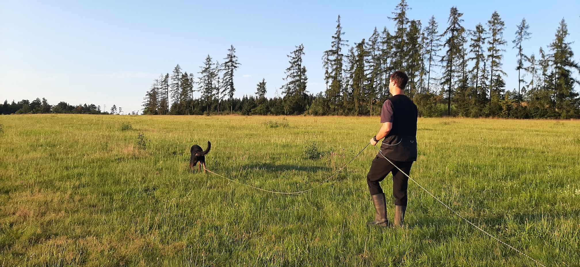 Sportovní stopa s beauceronem