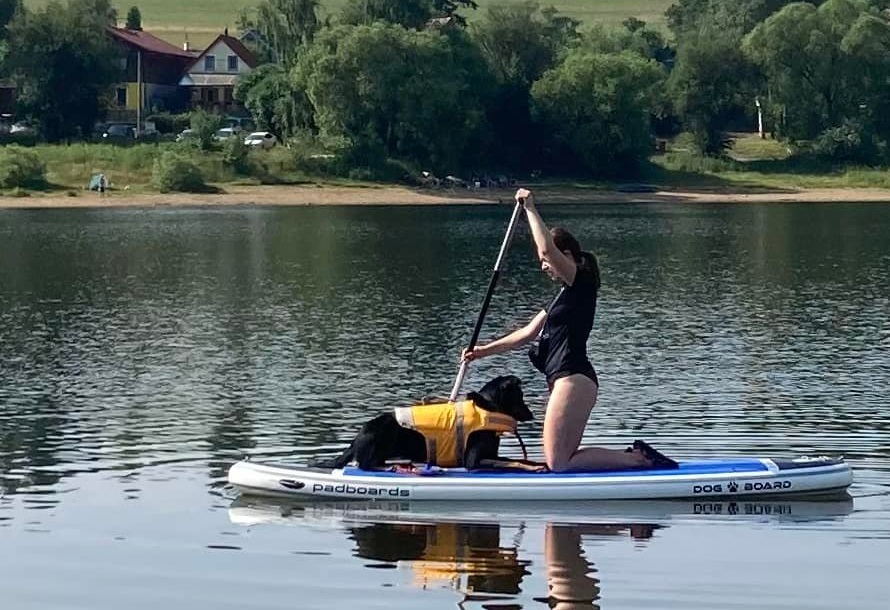 Dog Paddle Board s beauceronem