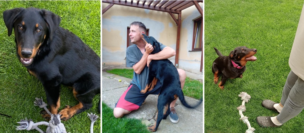 Maya (Annie) je v obličeji i chováním celá Eira za mlada Maya (Annie) je v obličeji i chováním celá Eira za mlada