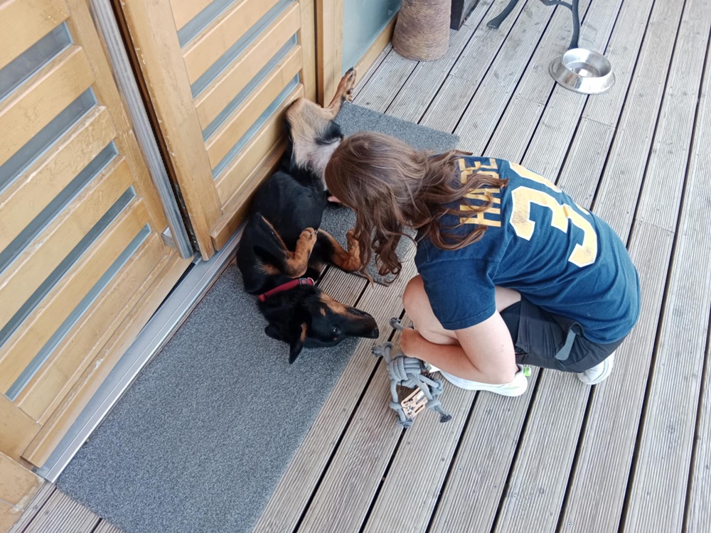 Už i poslední štěně jsme viděli. Žlutá Aireen je královnou vinic