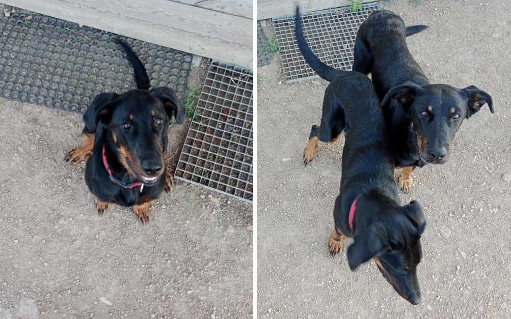 Aireen (Pinot) se svou 9 letou kolegyní Kimi