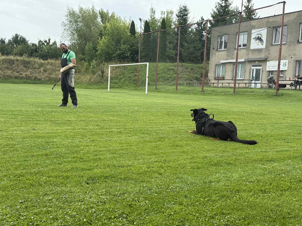 Eira hlídá a připravuje se na zadržení figuranta z útěku