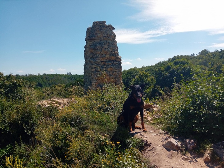 Eireen na vrcholu zříceniny (jméno je již zapomenuto) Eireen na vrcholu zříceniny (jméno je již zapomenuto)