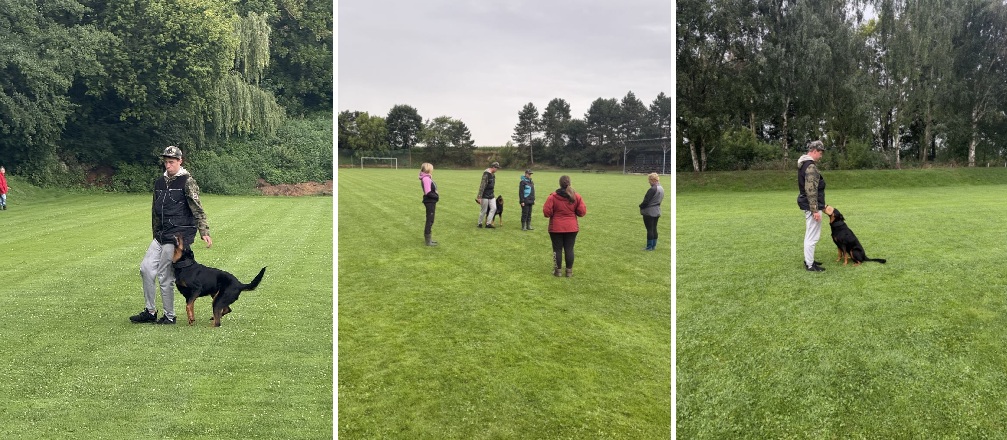 Eira byla na poslušnostech skvělá