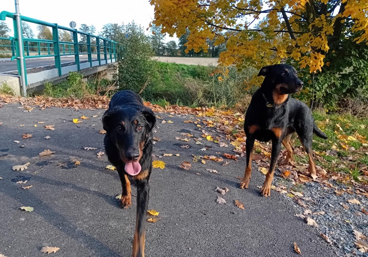 Eireen měla návštěvu. Přijela za námi její prvorozená dcera Eireen měla návštěvu. Přijela za námi její prvorozená dcera