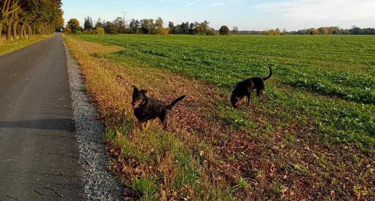Z některých fotek jsme i váhaly, která je která Z některých fotek jsme i váhaly, která je která