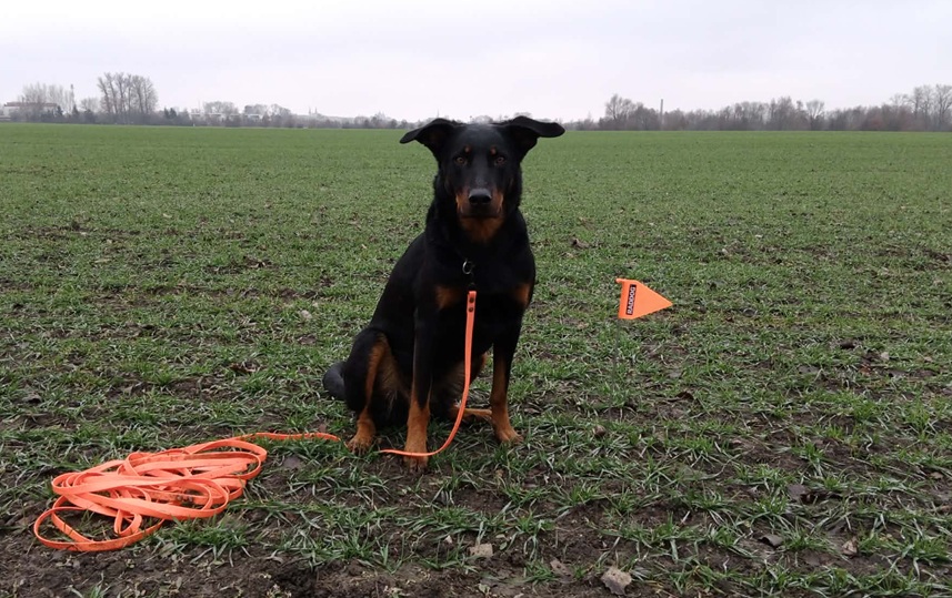 Vstoupili jsme do speciálních stop. Eira splnila zkoušku IFH1