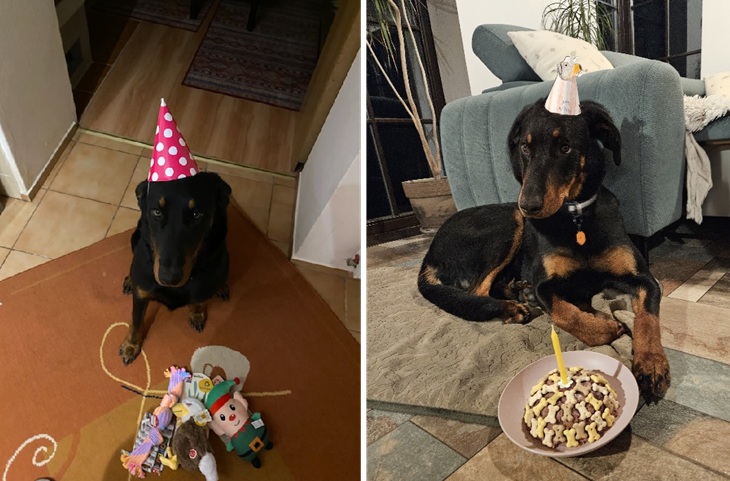 Oslavenci Maya (Annie) a Zari (Anarchia)