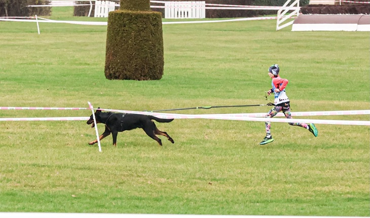 Hakim na MČR beauceronů v canicrossu 2026 v kategorii juniorů